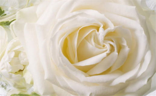 双子男生会换情头吗揭秘双子座的爱情态度