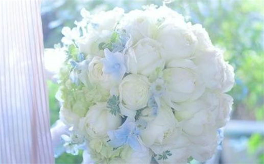 白羊座财运和财富关系大吗(白羊座财运和财富关系大吗女生)