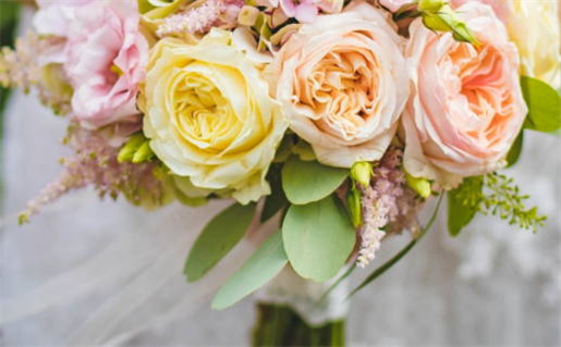 属猴男与属鼠女属虎的完美爱情配对解析