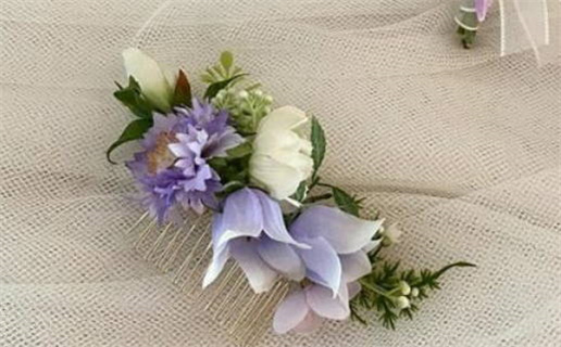 72年生肖属鼠的能养猫嘛_72年生肖属鼠的能养猫嘛为什么