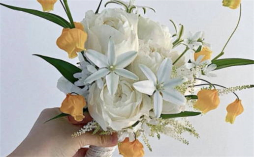 巨蟹座善于把握时机的沟通技巧揭秘