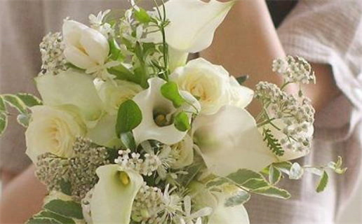 生肖鼠几月运势最佳全面解析与指导