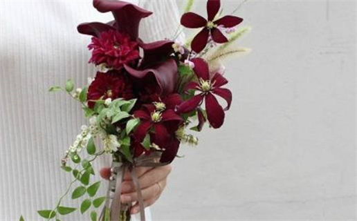 第五人格论博命的重要性与游戏策略解析