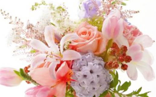 属鼠夫妻看房子的最佳策略与建议