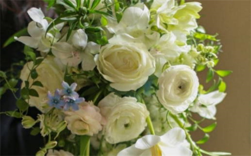 天秤座是猛兽星座吗(天秤座是猛兽星座吗女生)