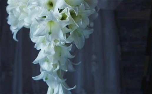 生肖鼠对什么最敏感男人_生肖鼠对什么最敏感男人