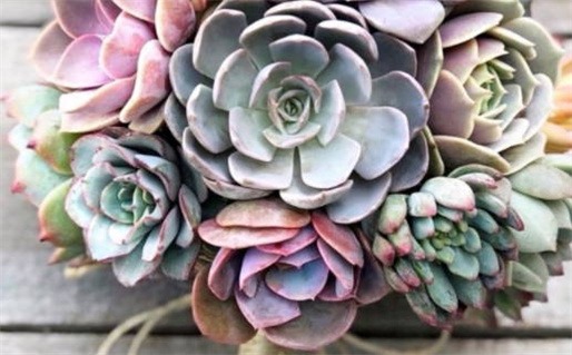 双鱼座宠金牛女吗男生会喜欢吗(双鱼座宠金牛女吗男生会喜欢吗知乎)