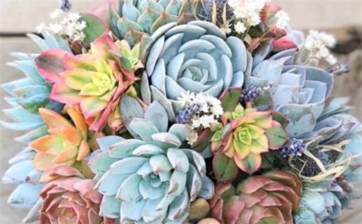 生辰八字四贵命解析男生命运影响