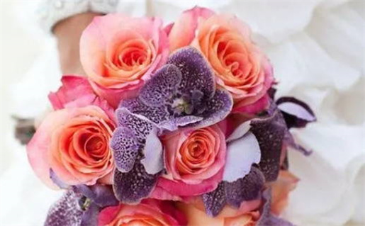 紫微命盘测算_紫微命盘测算